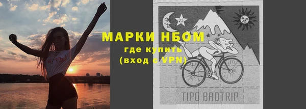 твердый Богданович