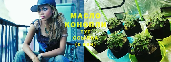 твердый Богородск