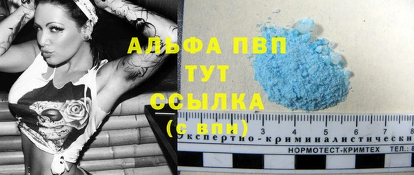 твердый Богданович