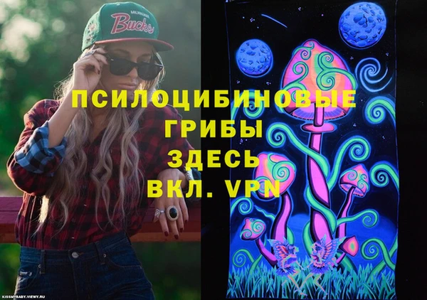 твердый Богородск