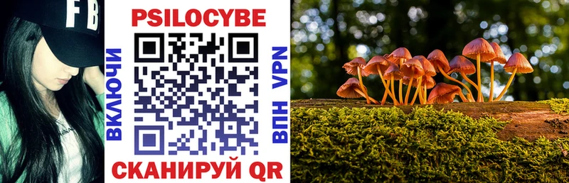Псилоцибиновые грибы мухоморы  Купить закладки  Мичуринск 